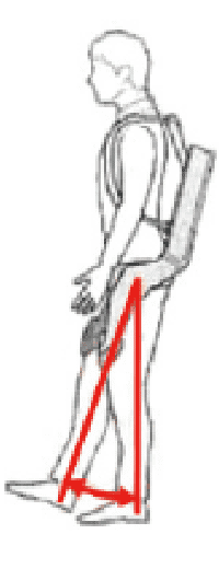 ソフトフィット